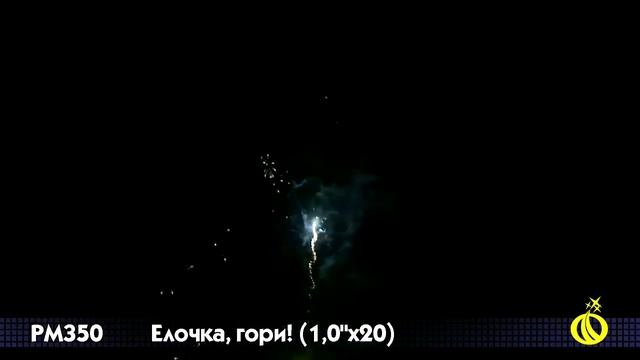 PM350 Елочка гори