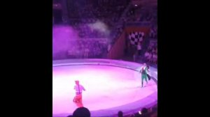 Daniel_pu в прямом эфире в цирке. Итальянский цирк togni