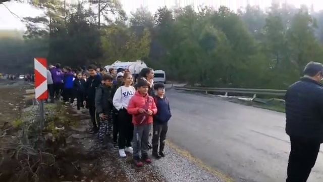 Сегодня на посадке деревьев в окрестностях Мармариса