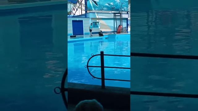 Я был агое в 25.08.2020