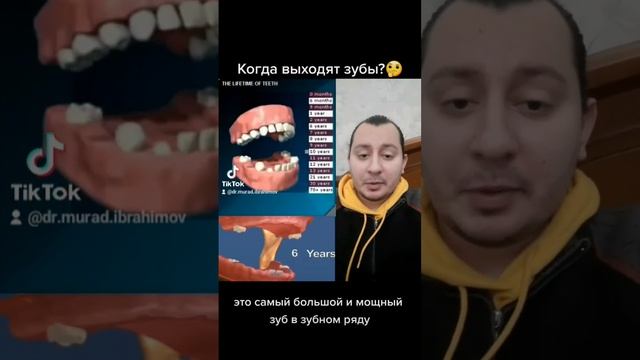 Когда прорезываются зубы? дантист зубнойврач стоматолог dişhekimi зубы diş стоматология зу