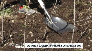 АЛЛЕЯ ЗАЩИТНИКАМ ОТЕЧЕСТВА. Большой город 06/05/2025