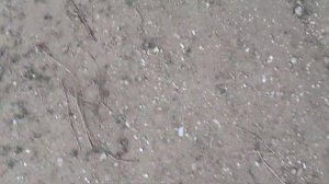 🏞Асмр~на улице💫/таппинг/скричинг/💖Scratching-tapping  outdoors 🧚🏻♀️