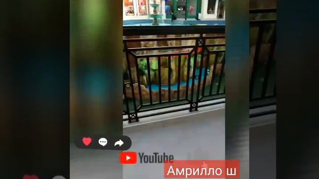 остров мечты парк @Amrillo_sh. #остров гуляем Москву смотреть онлайн