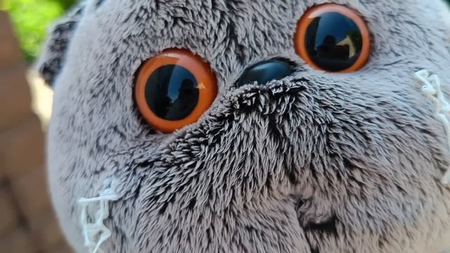 Влог, появился бассейн👙🏊 смотреть онлайн