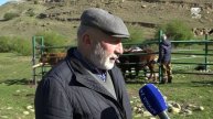 Вакцинация и биркование в а. Новый Карачай