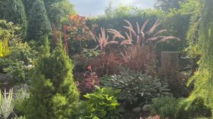 Формирую тис 🌲 делаю декор в природном стиле 👌 Прогу