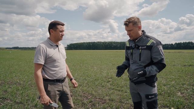 Падалица IMI подсолнечника в зерновых. Эффективное реш?