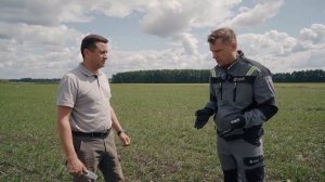 Падалица IMI подсолнечника в зерновых. Эффективное реш?