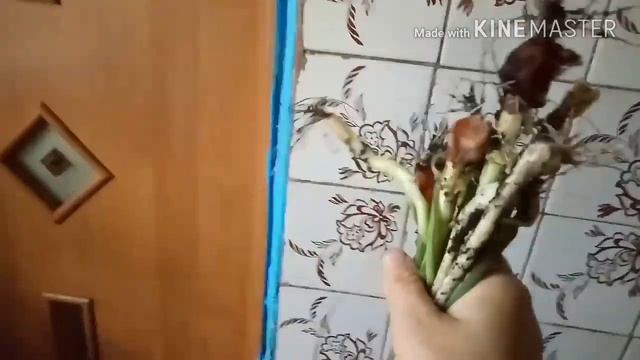 ВЛОГ: Максим в логопедию？одежда с секонд хенда/УРОЖАЙ КЛУБНИКИ/прикольный ЕЖИК смотреть онлайн