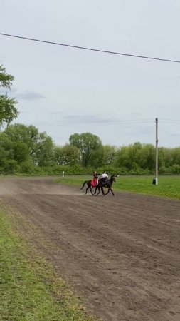 Курск - показательные выступления на ипподроме