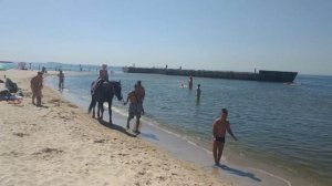 Прогулка на лошадке