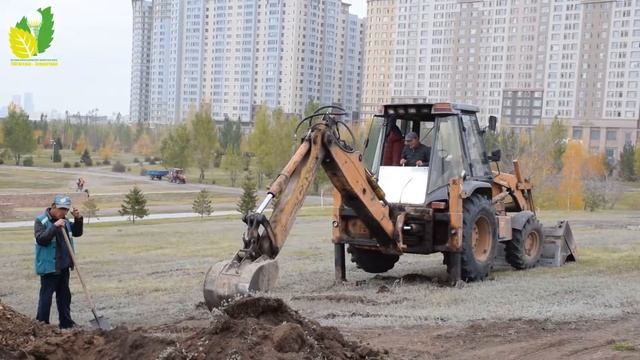 В Алматинском районе г.Нур-Султан активно идет посадк?