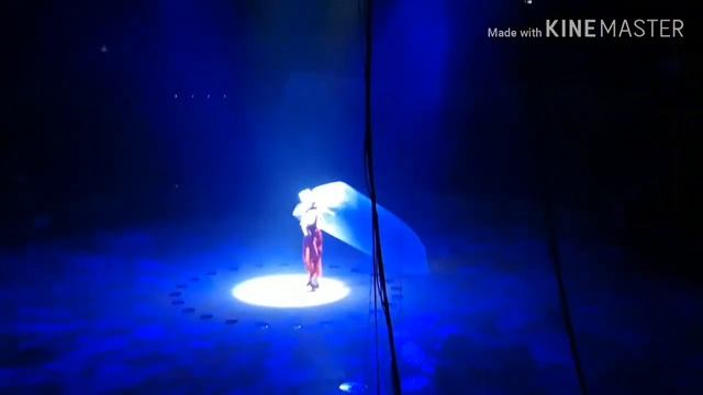 VLOG в Питере ,цирк,ресторан смотреть онлайн