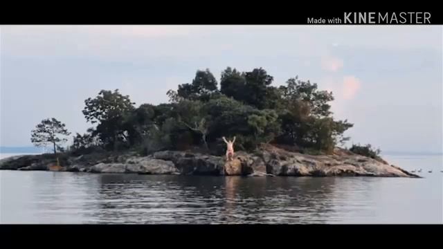 Приколы 2020 смотреть онлайн