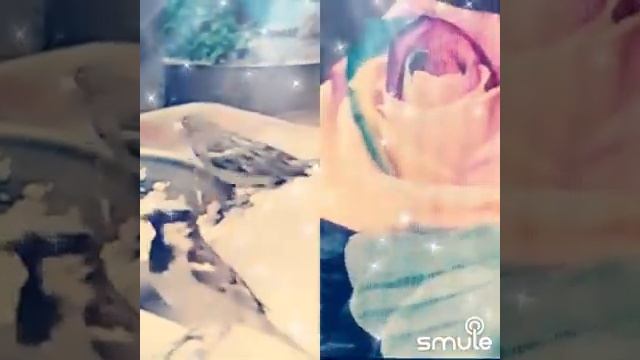 23 декабря 2022 г. смотреть онлайн