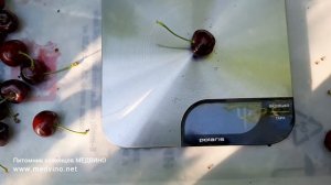 Черешня Огненный шар: обзор сорта