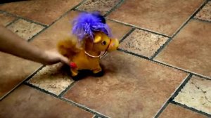 Маленькая Лошадь Танцует и Поет по Новогоднему.