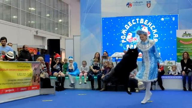 16 12 2018 фристайл Ульяна и Грюн