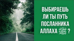 Выбираешь ли ты путь посланника Аллахаﷺ?