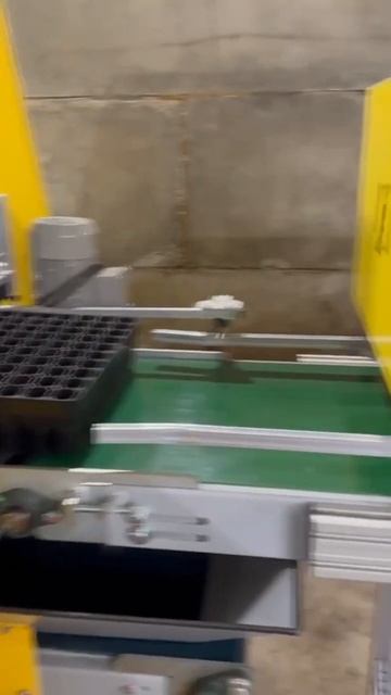 Линия посева смотреть онлайн