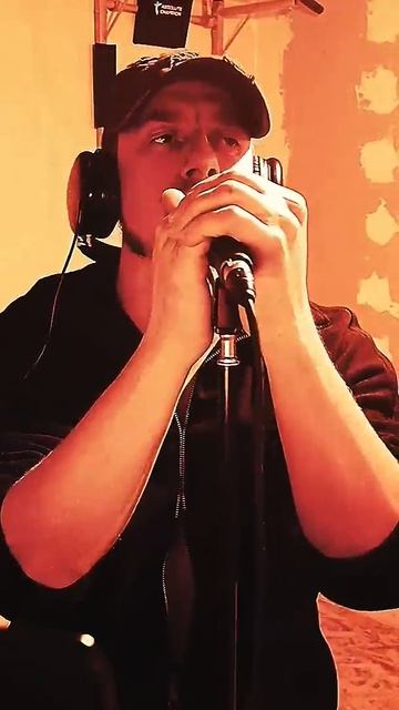 а белый лебедь на пруду#хорошаяпесня #cover #любимпеть #mus