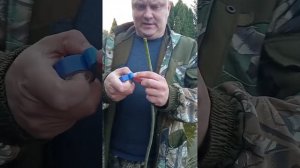 Прививка плакучей формы козьей ивы на штамб.