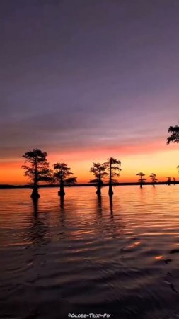 🌅 Озеро Каддо – мистическое место в США