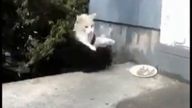 Держись Валера,пацаны!
