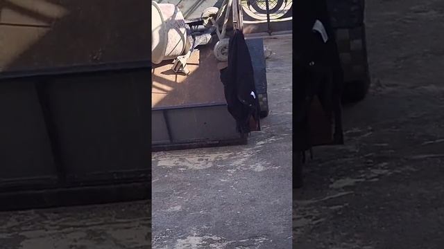 Всё чётко #рекомендации #ремонт #своимируками #стройка смотреть онлайн