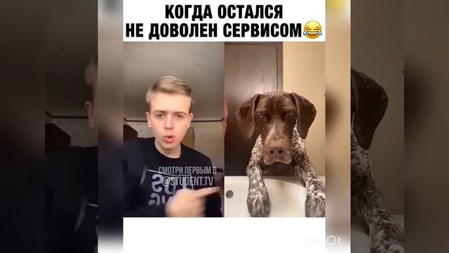 топ приколы месяца смотреть онлайн