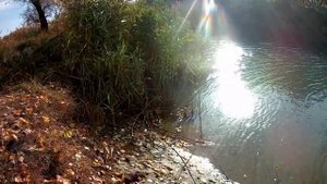 Рыбалка на Херабуну, осенняя уклейка 23.10.2024г.