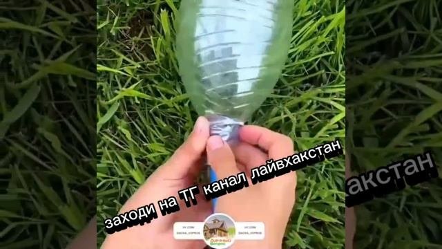 #дача #огород #земледелие #лайфхаки #жук #насекомыевдом