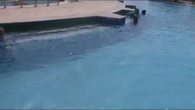 Египет Golden 5 смотреть онлайн