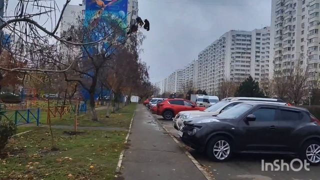 2024г. Прохожу диспансеризацию // Мое ПП питание // Забыла обо всем🙈 // Mariya VD LIFE. смотреть онлайн