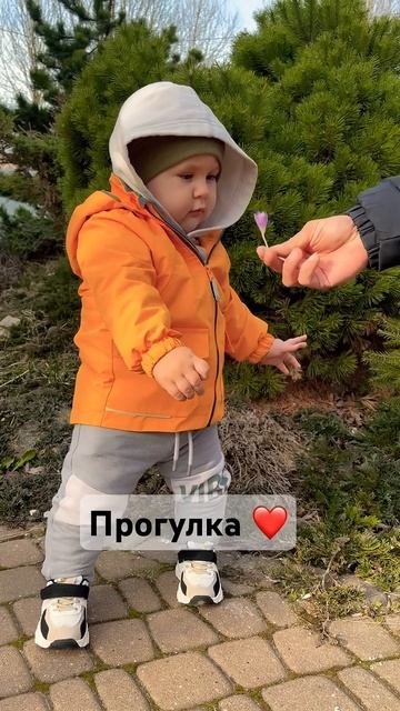 #семья #сребенком #baby #семьявместе #travel #дети #юмор #прик