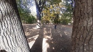 Nerf War: Nerf Битва на Нерф Бластерах! #1