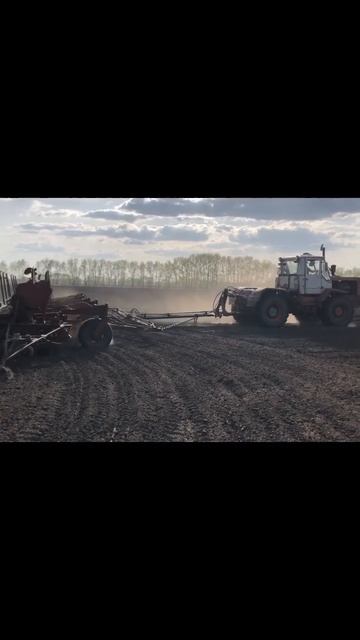 Посевная яровой пшеницы 2023 🌾 #посевная #пшеница #сель?