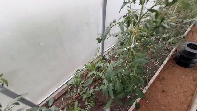 26 июня 2024г☀️ наш дом 🏠 завели хозяйство🙈 мой Уральс смотреть онлайн