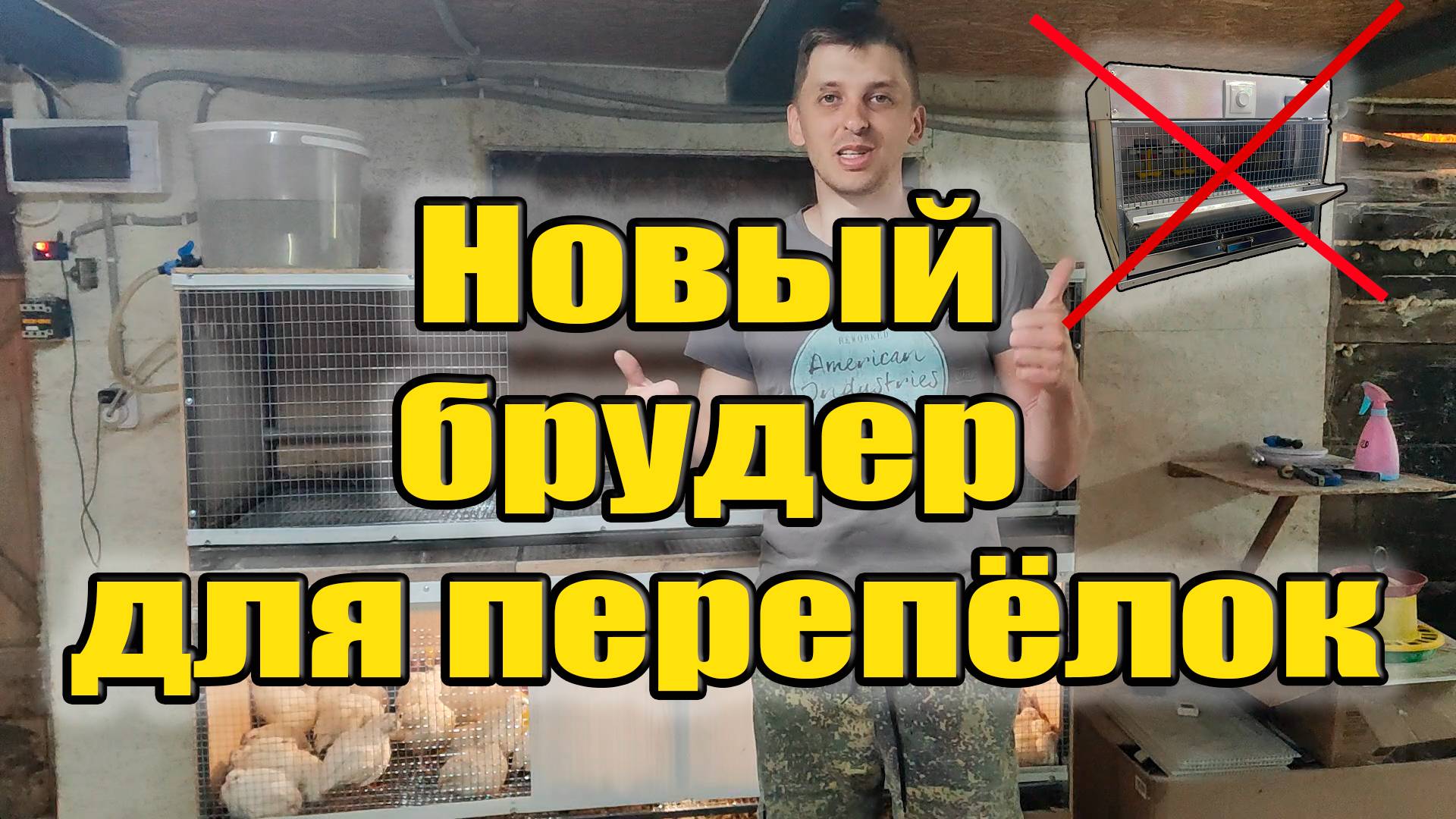 Мой новый брудер для перепелов со съемным полом!