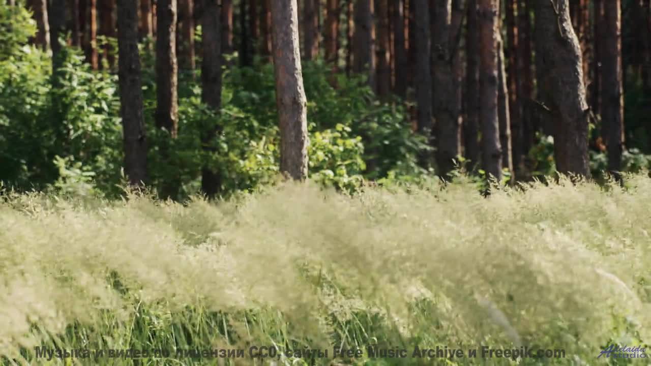 Пейзажи заставляют забыть про реальность с этим саундом - Happy Ending -- Scott Holmes Music -- Happ