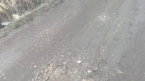 Прогулка перед офисом Bublikbul43