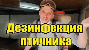 Дезинфекция птичника / Новый дом для перепёлок