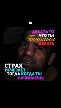 31.mp4