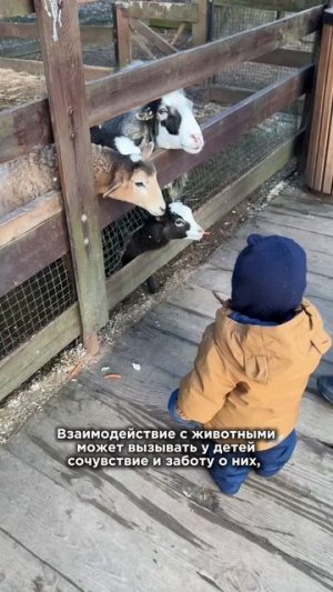 Как зоопарки влияют на детей