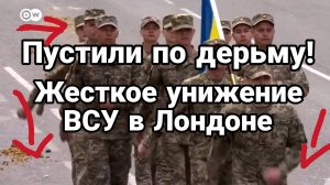 МРИЯ⚡️ ТАМИР ШЕЙХ / ЖЕСТКОЕ УНИЖЕНИЕ ВСУ В ЛОНДОНЕ. Новости Сводки