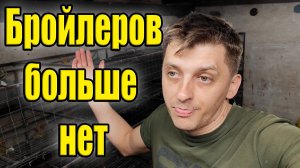 Бройлеры закончились. Очередной инкубатор!