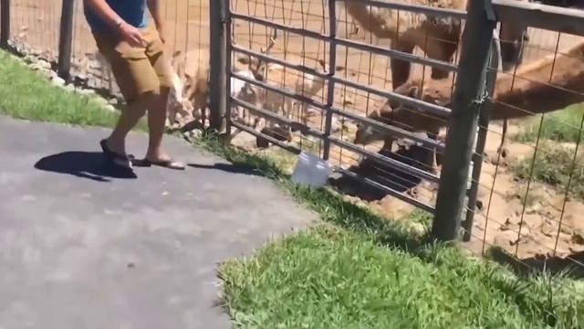 ПОДБОРКА ПРИКОЛОВ ДЕКАБРЬ | 7 МИНУТ СМЕХА | СМЕШНЫЕ ВИДЕО смотреть онлайн