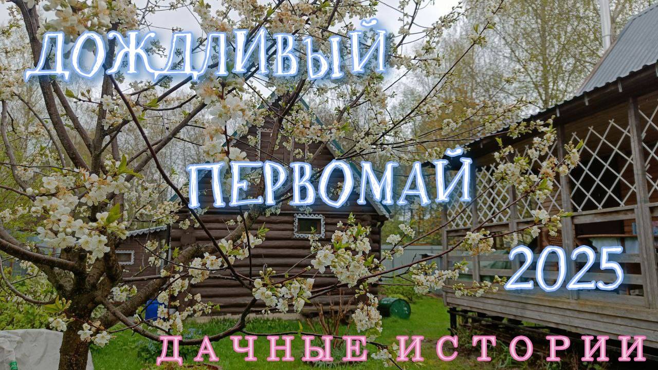 Дождливый Первомай 2025 | Дачные истории