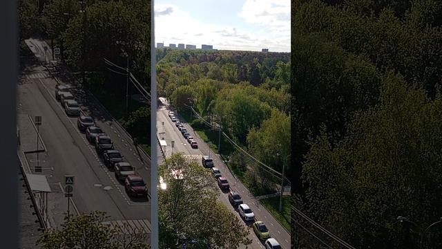 06.05.25 ... природа и погода